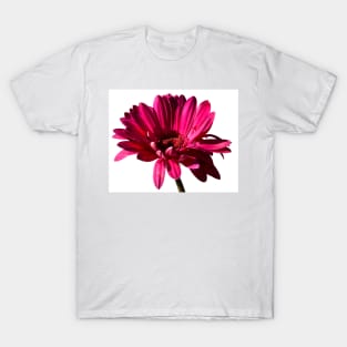 Gerbera T-Shirt